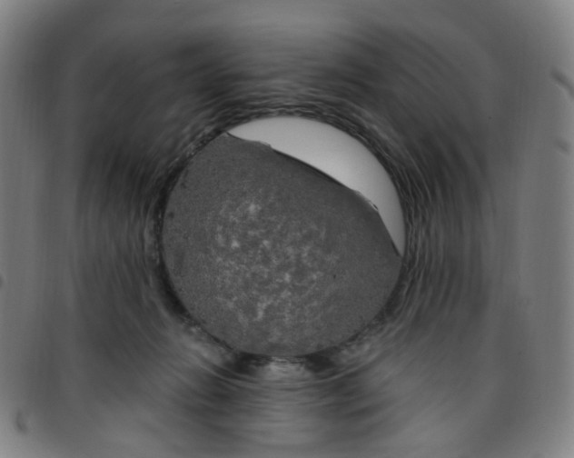 X0000097490270200803071746