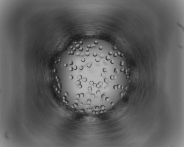 X0000097490272200803071746