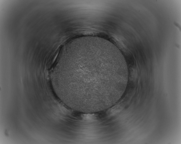 X0000097490273200803071746