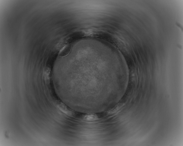 X0000097490275200803071746