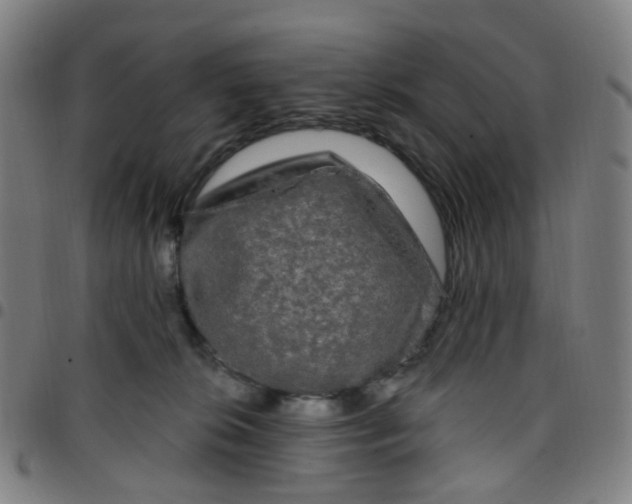 X0000097490276200803071746