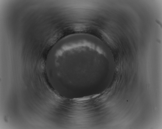 X0000097490277200803071746