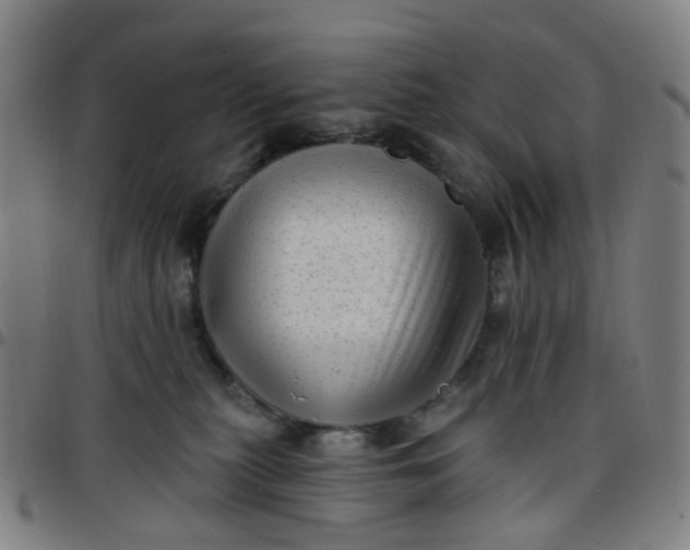 X0000097490279200803071746