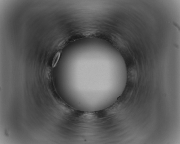 X0000097490280200803071746