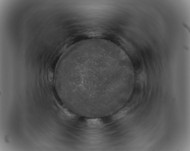 X0000097490281200803071746