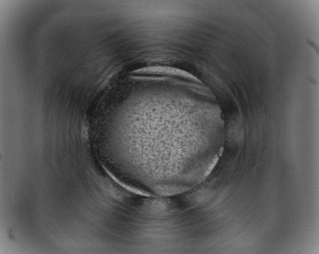 X0000097490282200803071746