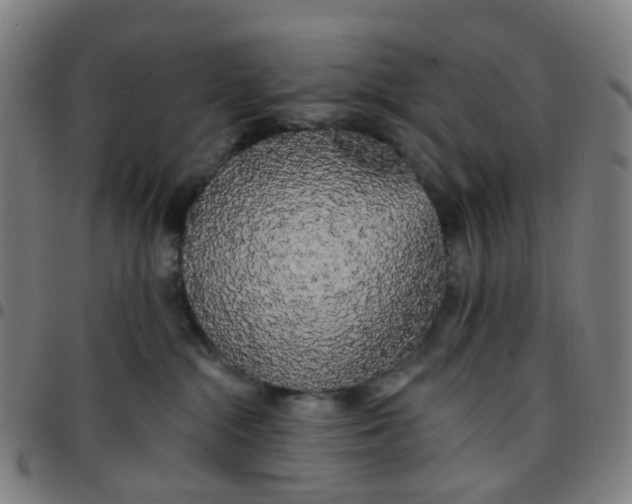 X0000097490284200803071746