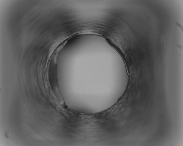 X0000097490289200803071745