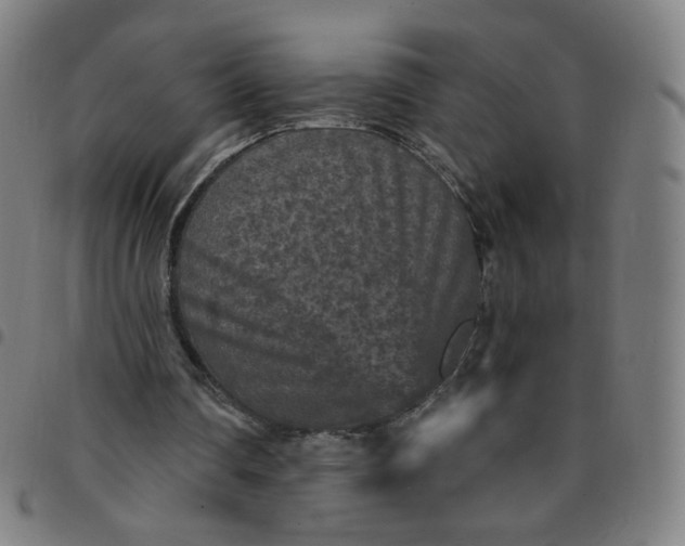 X0000097490290200803071745