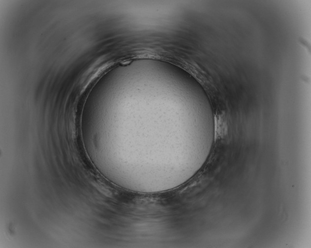 X0000097490291200803071745