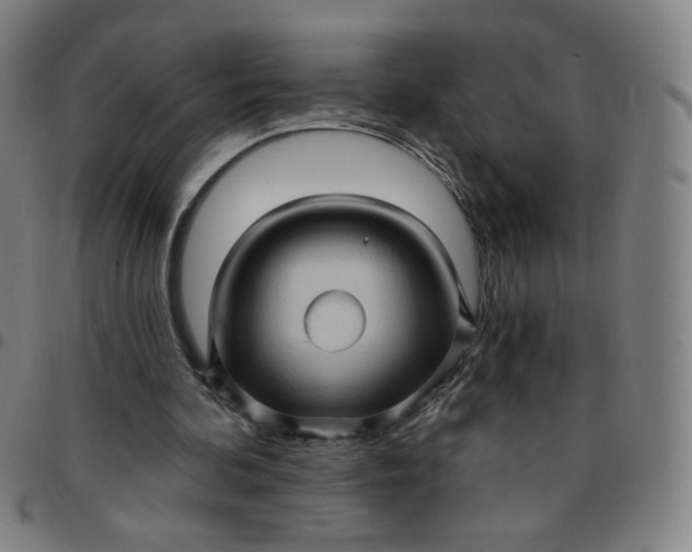 X0000097490292200803071745