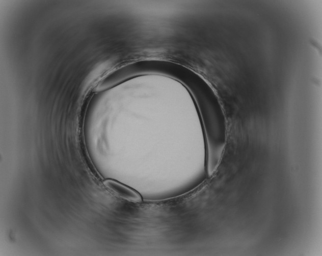 X0000097490293200803071745