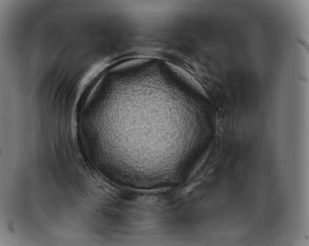 X0000097490294200803071745