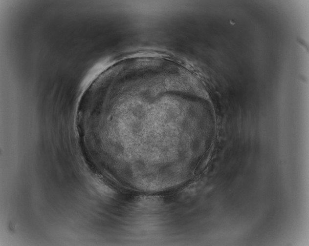 X0000097490296200803071745