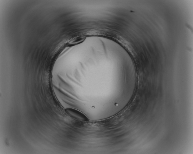 X0000097490297200803071745