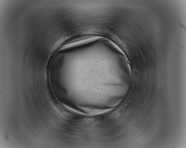 X0000097490298200803071745