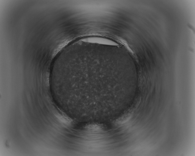 X0000097490299200803071745