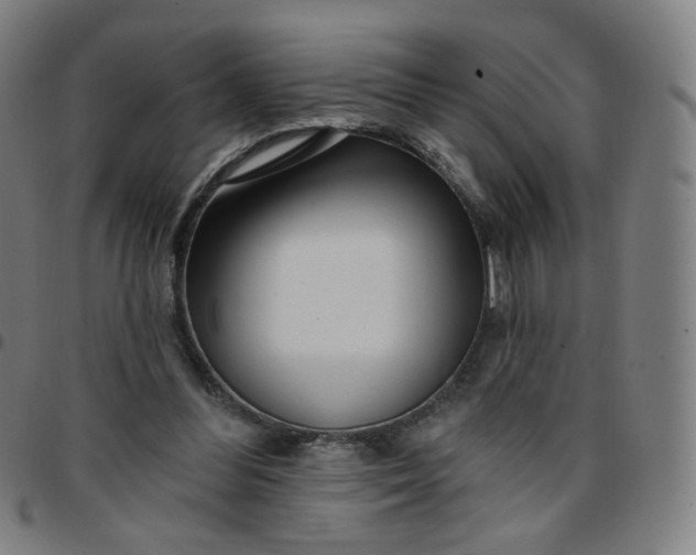 X0000097490300200803071745