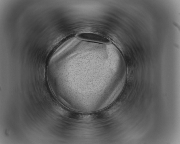 X0000097490301200803071745