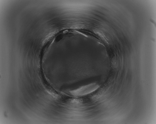 X0000097490303200803071745