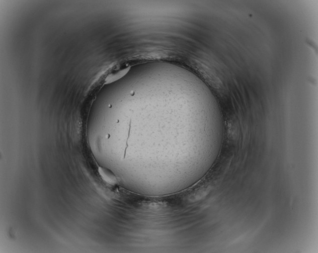 X0000097490304200803071745