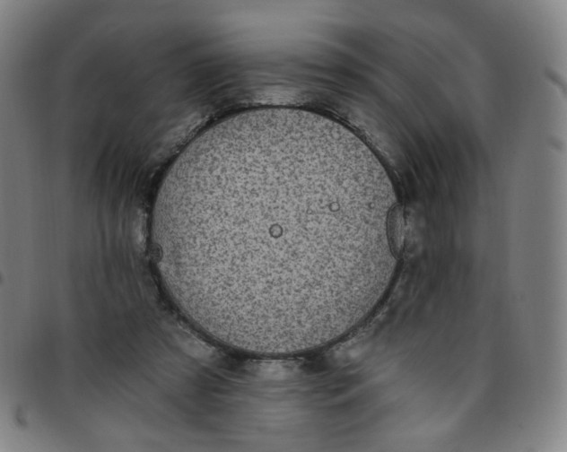 X0000097490305200803071745