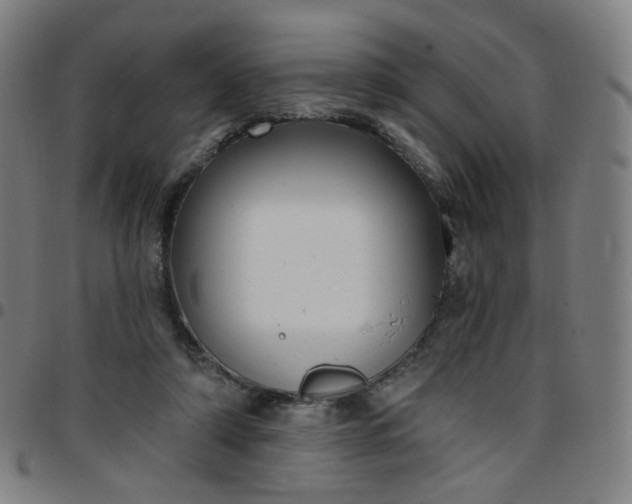 X0000097490306200803071745