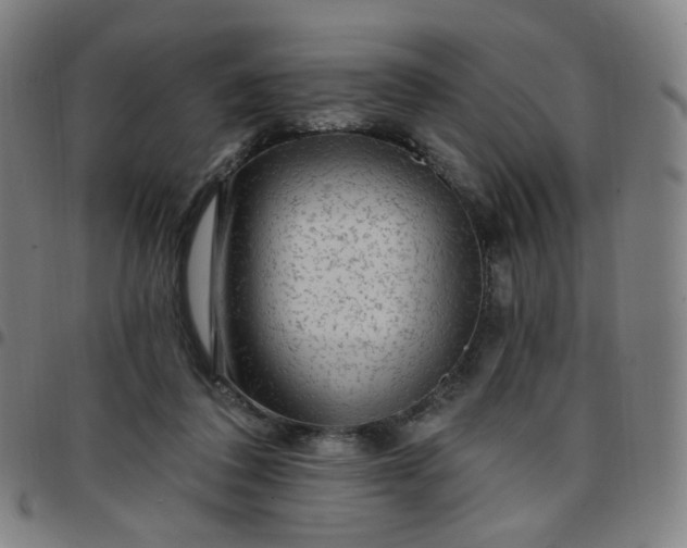 X0000097490308200803071745