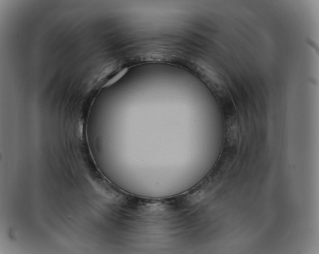 X0000097490310200803071745