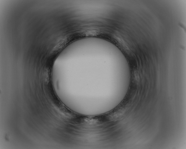 X0000097490311200803071745