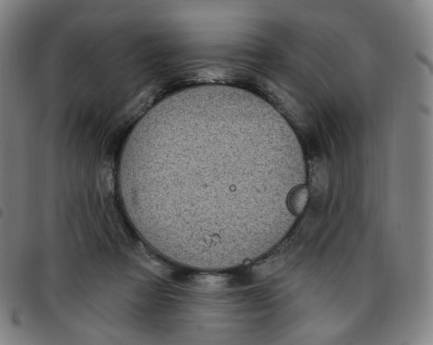 X0000097490313200803071745