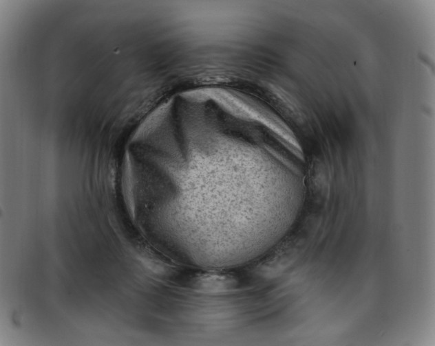 X0000097490315200803071745