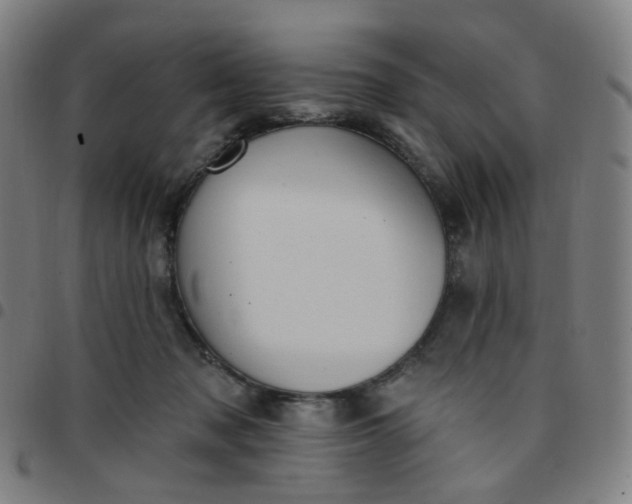 X0000097490317200803071745