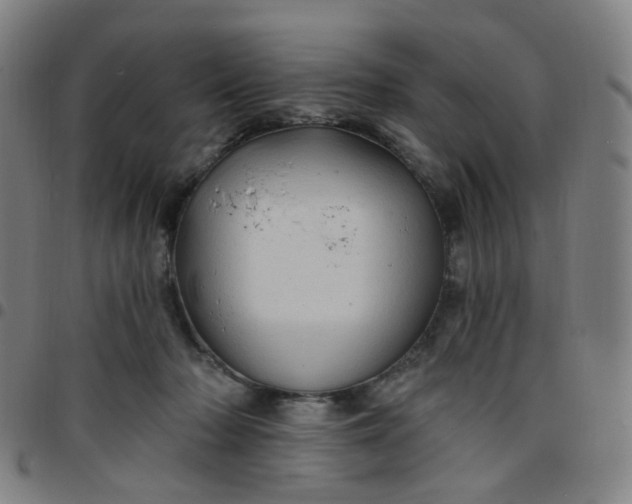 X0000097490318200803071745