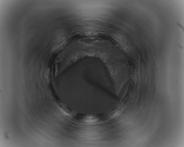 X0000097490319200803071745