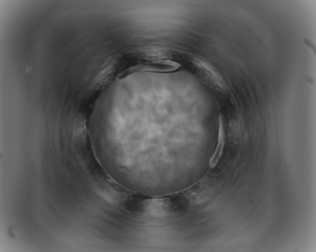 X0000097490320200803071745