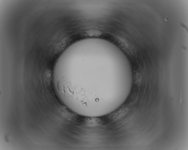 X0000097490321200803071745