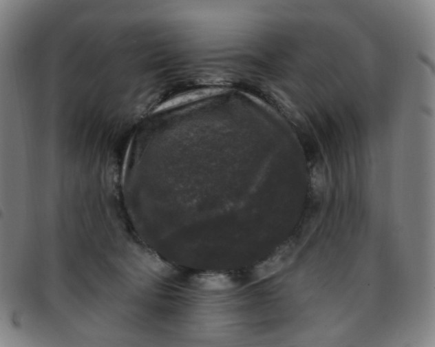 X0000097490322200803071745