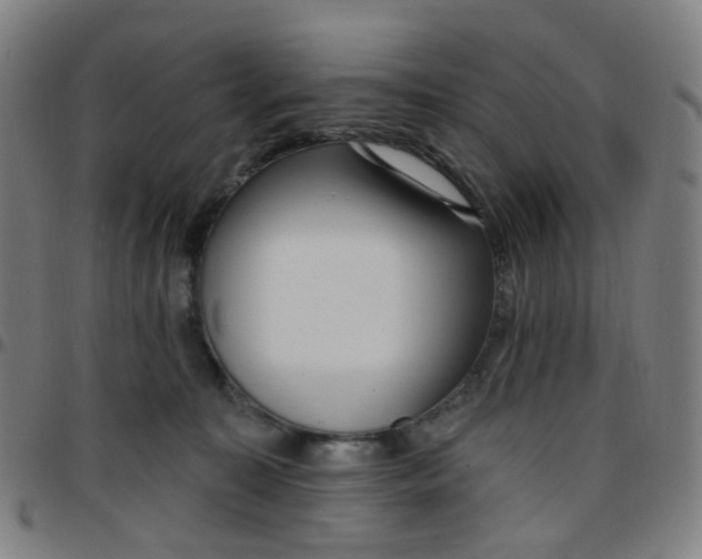 X0000097490323200803071745