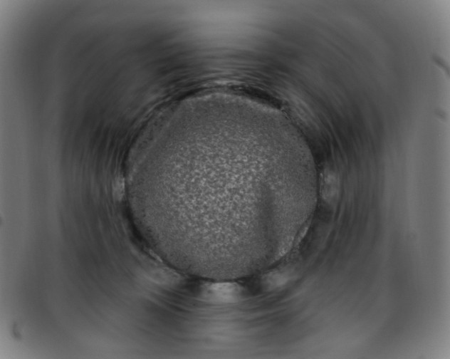 X0000097490324200803071745