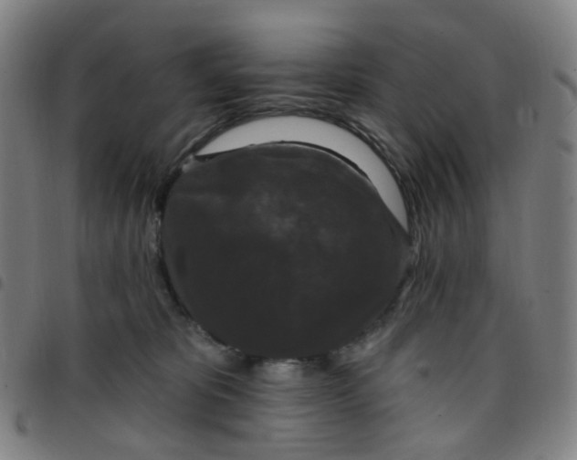 X0000097490325200803071745