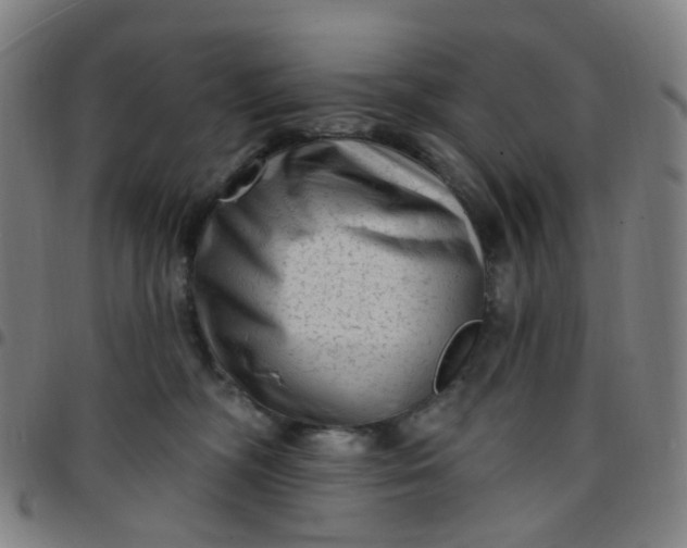 X0000097490326200803071745