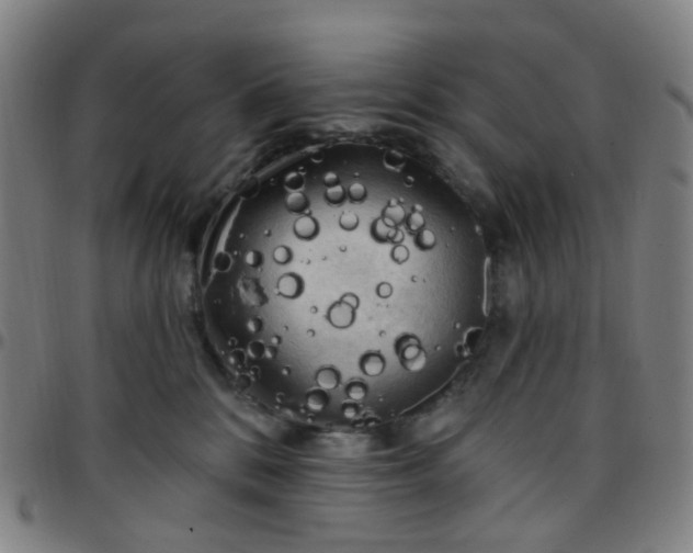 X0000097490328200803071745