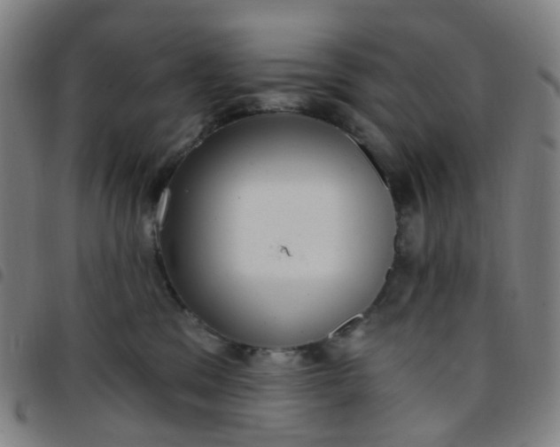 X0000097490329200803071745