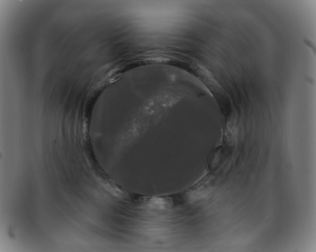 X0000097490330200803071745