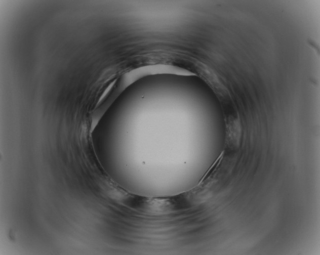 X0000097490333200803071745