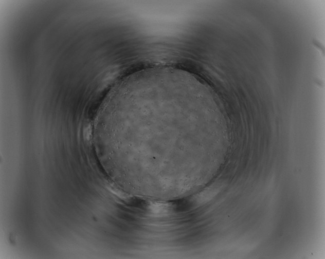 X0000097490336200803071745