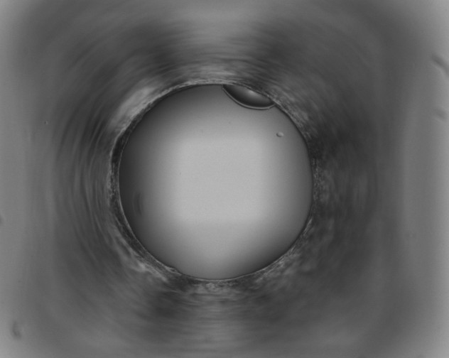 X0000097490338200803071744