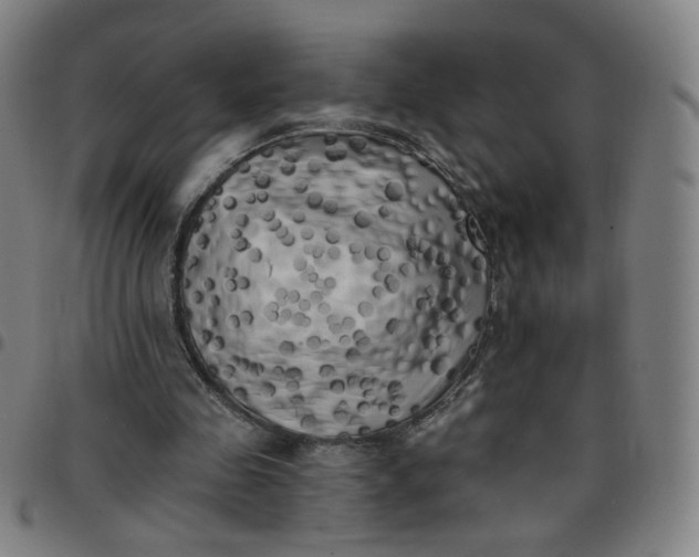 X0000097490341200803071744