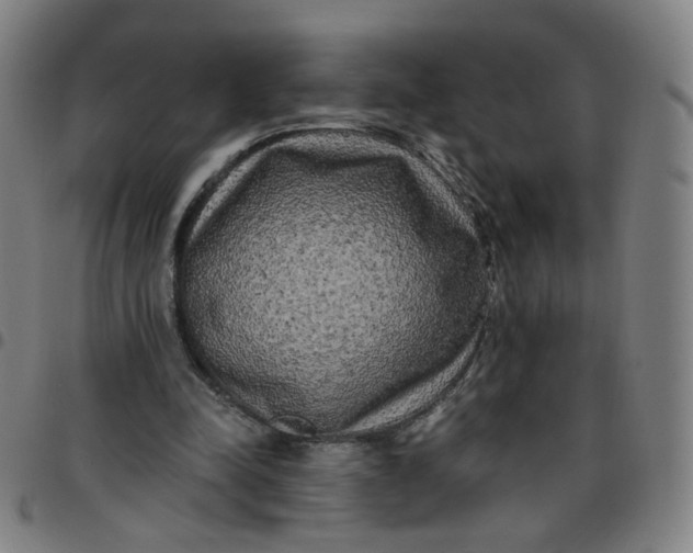 X0000097490342200803071744